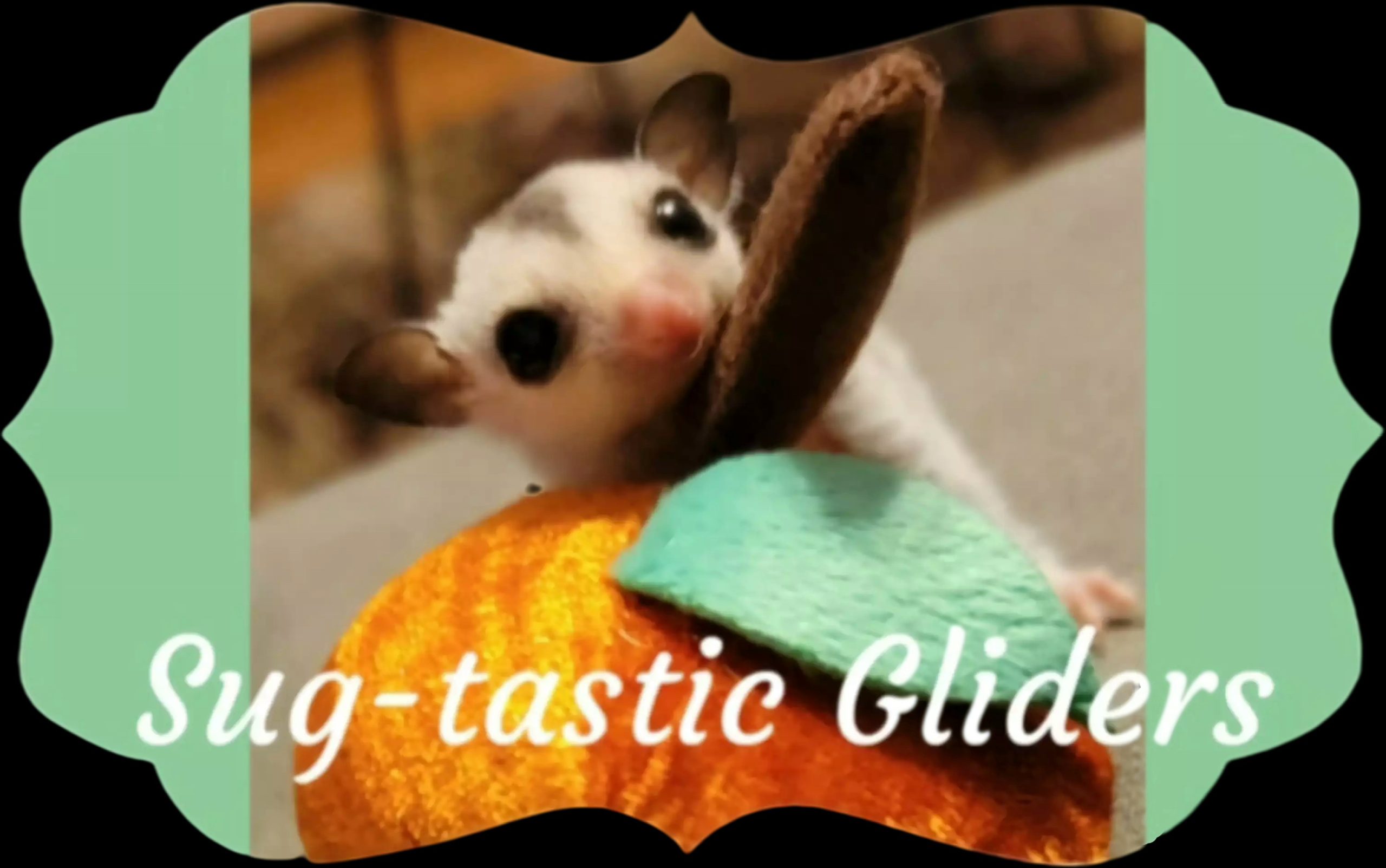 Sug-tasticGliders