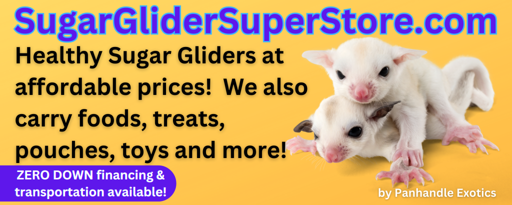 Sugar Glider Super Store banner