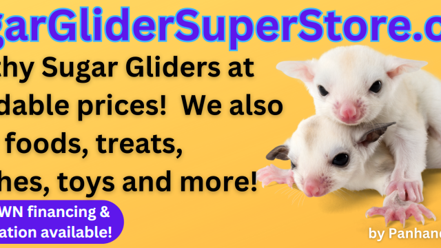 Sugar Glider Super Store banner