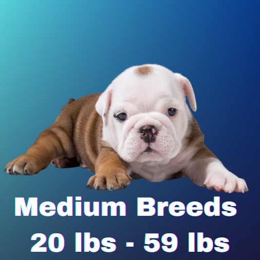 med breed button