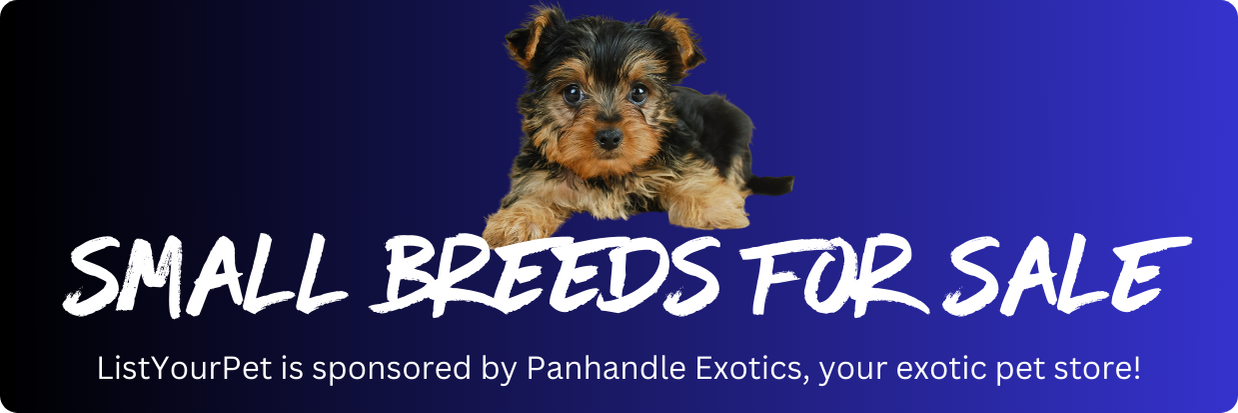 small breed image header