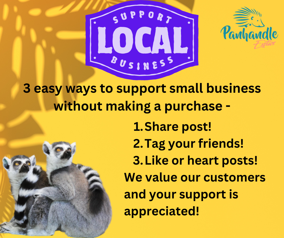 support-small-business